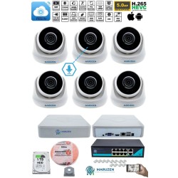 Sesli 6 Kameralı IP Dome Güvenlik Kamerası Seti 4MP Ultra HD, 30m Gece Görüş, Ses Alma, Uzaktan İzleme