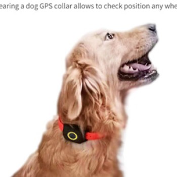 4G Mini Pet Gps İzleme Sistemi 