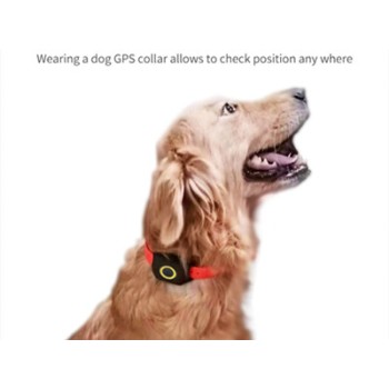 4G Mini Pet Gps İzleme Sistemi 