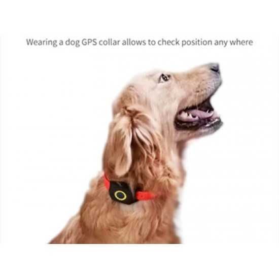 4G Mini Pet GPS İzleme sistemi