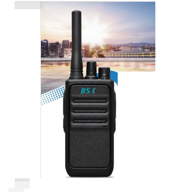 Bs 1000 Pmr 446 Li̇sansı El Telsizi fiyat teklifi al