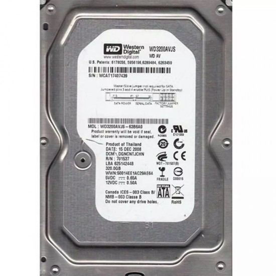 WESTERN DIGITAL WD3200AVVS-WD3200AVJS SATA3 7200 RPM 7/24 320 GB HARDDİSK