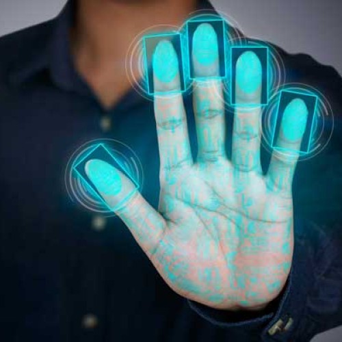 Avuç İçi Damar Tanıma Sistemi