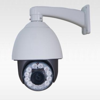 30 X Gece Görüşlü Speed Dome Kamera 