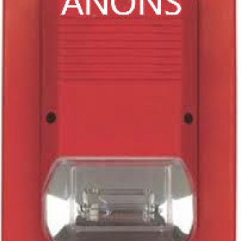 Acil Anons Ve Sesli Tahliye Sistemleri 